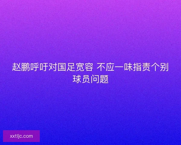 赵鹏呼吁对国足宽容 不应一味指责个别球员问题