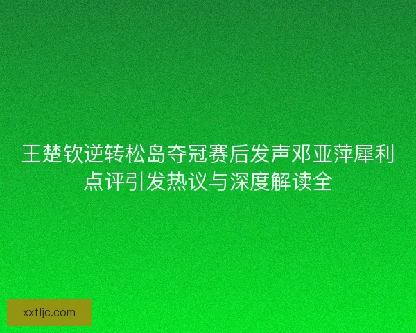 王楚钦逆转松岛夺冠赛后发声邓亚萍犀利点评引发热议与深度解读全