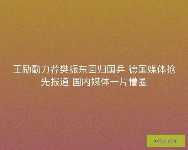王励勤力荐樊振东回归国乒 德国媒体抢先报道 国内媒体一片懵圈